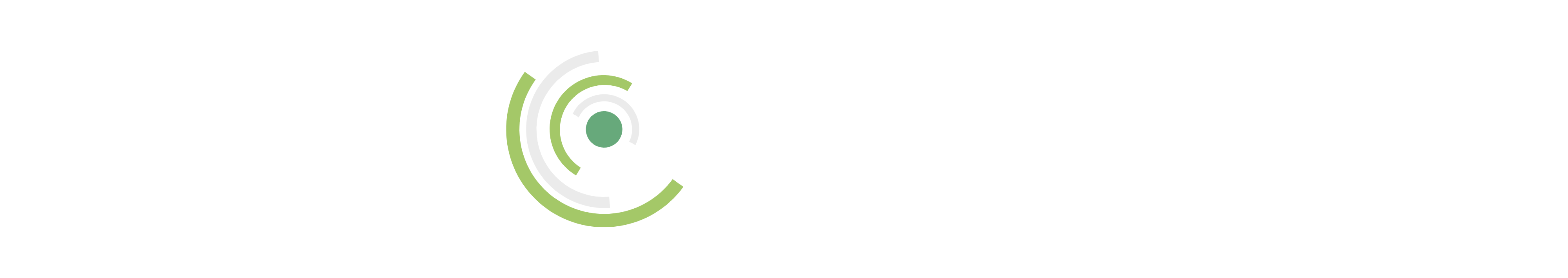 DSL Logo